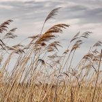 Reunión Dominical 02NOV2025