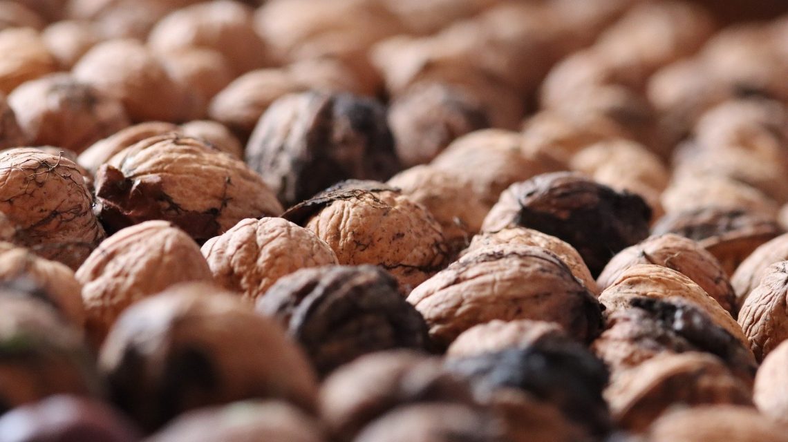 Reunión Dominical 26OCT2025