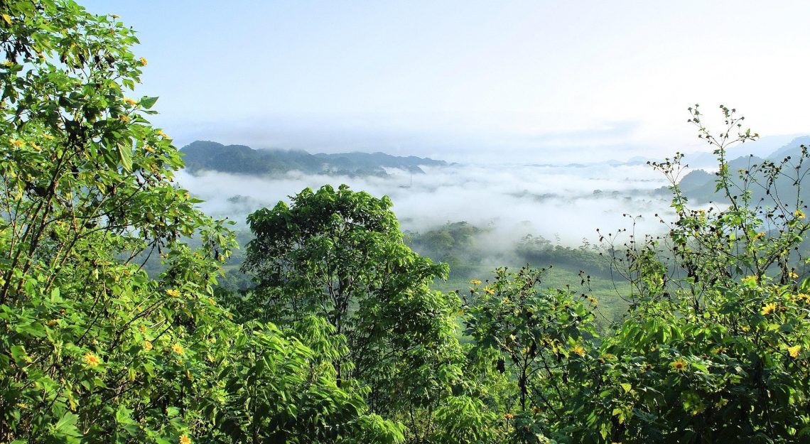 Reunión Dominical 28DIC2025