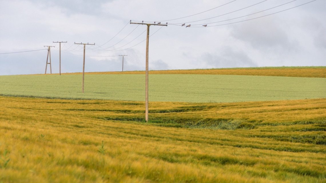 Reunión Dominical 30NOV2025