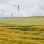 Reunión Dominical 30NOV2025