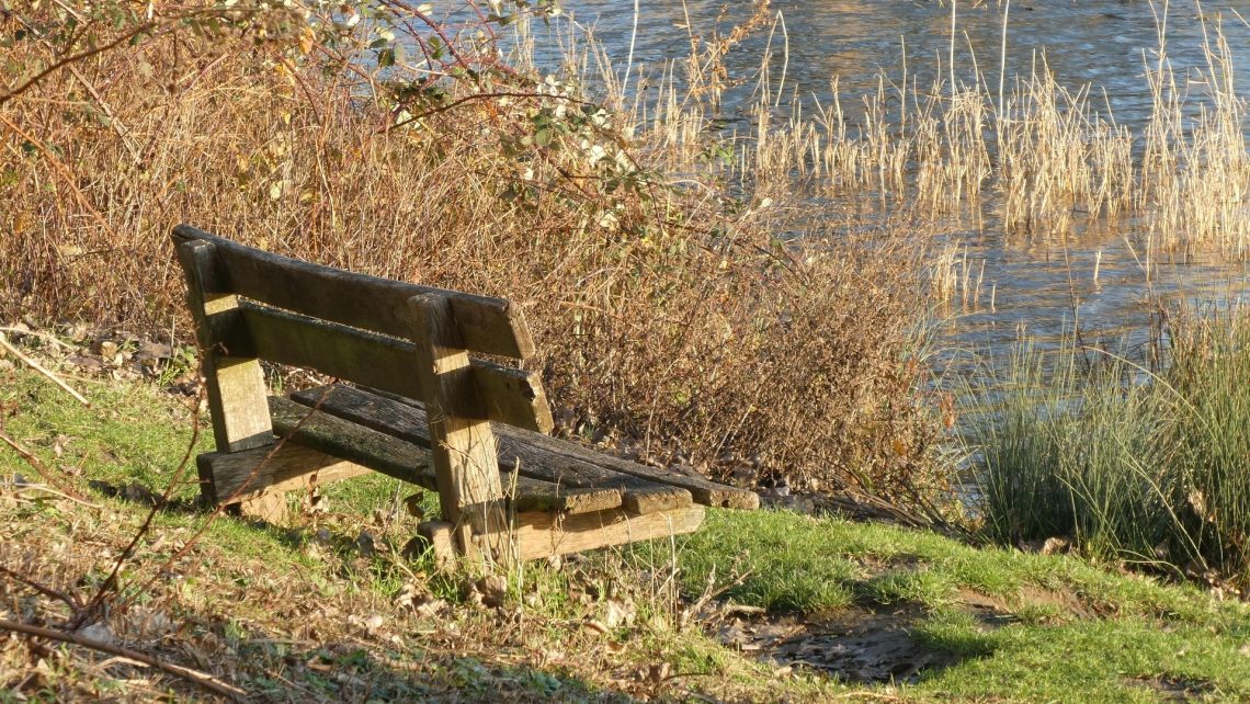 Reunion Dominical 15MAR2026