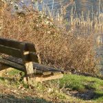 Reunion Dominical 15MAR2026