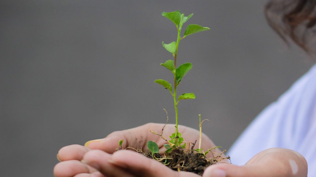 Reunión Dominical 12ABR2026