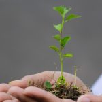 Reunión Dominical 12ABR2026